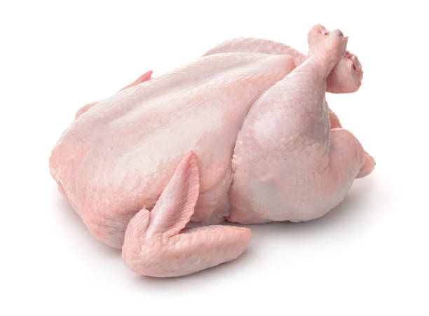 Poulet